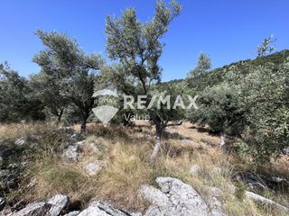 Αγροτεμάχια 9.600 τ.μ. για πώληση, Ν. Λευκάδας, Λευκάδα-thumb-7