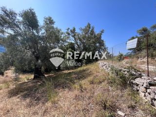 Αγροτεμάχια 9.600 τ.μ. για πώληση, Ν. Λευκάδας, Λευκάδα-thumb-17