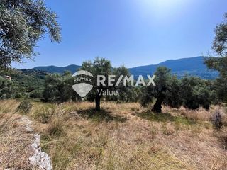 Αγροτεμάχια 9.600 τ.μ. για πώληση, Ν. Λευκάδας, Λευκάδα-thumb-18