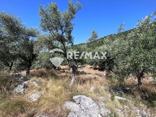 Αγροτεμάχια 9.600 τ.μ. για πώληση, Ν. Λευκάδας, Λευκάδα-thumb-9