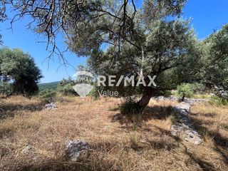 Αγροτεμάχια 9.600 τ.μ. για πώληση, Ν. Λευκάδας, Λευκάδα-thumb-14