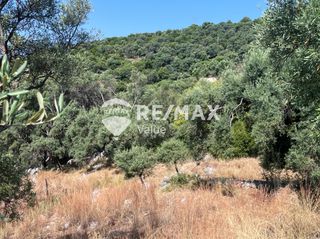 Αγροτεμάχια 9.600 τ.μ. για πώληση, Ν. Λευκάδας, Λευκάδα-thumb-8