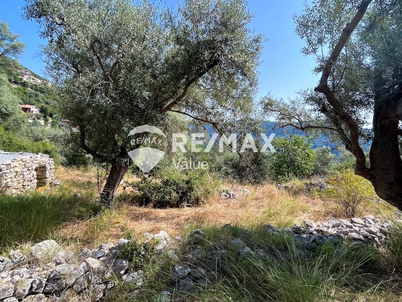 Αγροτεμάχια 9.600 τ.μ. προς πώληση, Ελλόμενο