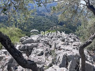 Αγροτεμάχια 9.600 τ.μ. για πώληση, Ν. Λευκάδας, Λευκάδα-thumb-6