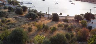 Αγροτεμάχια 1.380 τ.μ. για πώληση, Εύβοια, Δύστος-thumb-2