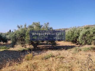 Αγροτεμάχια 4.179 τ.μ. για πώληση