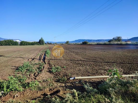 Αγροτεμάχια 4.200 τ.μ. για πώληση, Θεσσαλονίκη - Περιφ/Κοί Δήμοι, Θέρμη