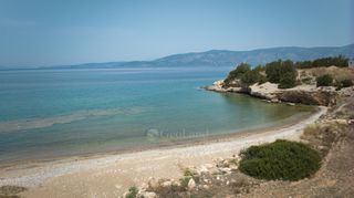 Αγροτεμάχια 4.011 τ.μ. για πώληση, Αργολίδα, Κρανίδι-thumb-12