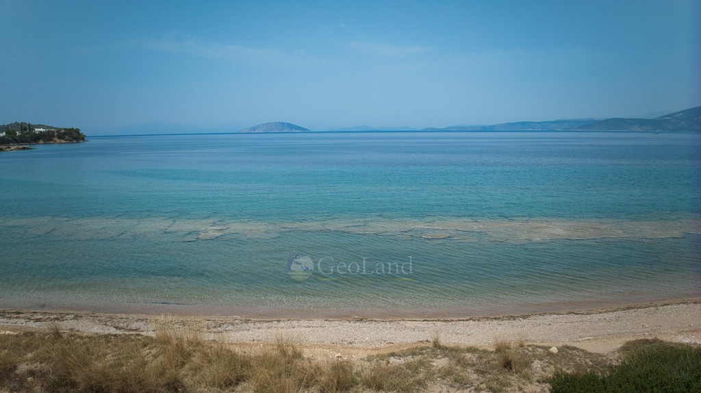 Αγροτεμάχια 4.011 τ.μ. προς πώληση, Αργολίδα, Κρανίδι