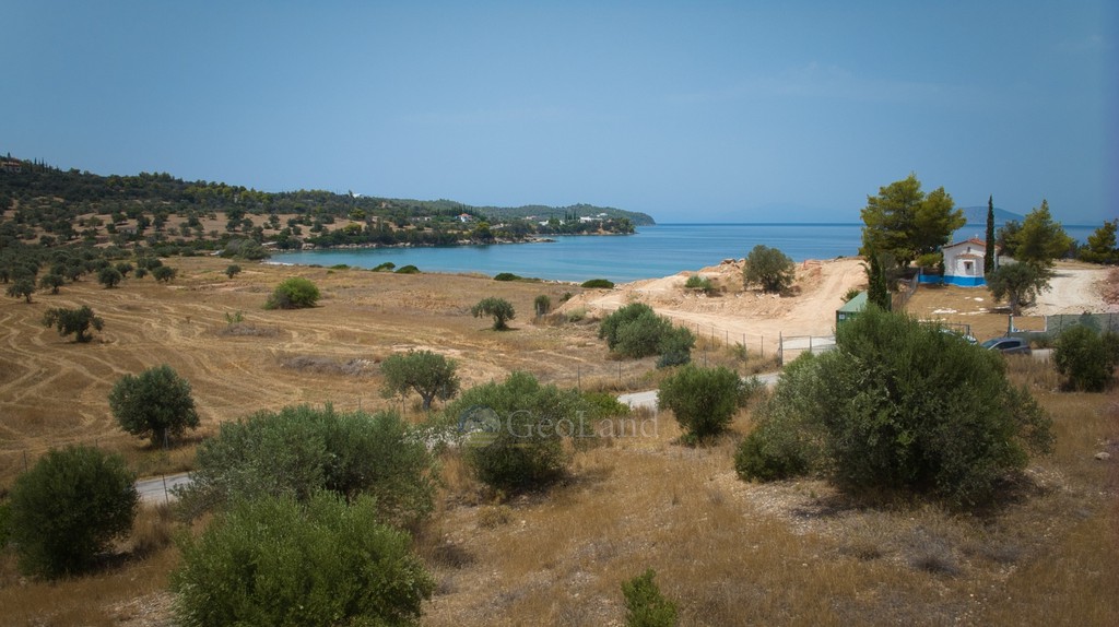 Αγροτεμάχια 4.011 τ.μ. προς πώληση, Αργολίδα, Κρανίδι