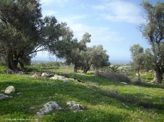 Βίλλα 130 τ.μ. προς πώληση, Μονή Αρκαδίου-thumb-3