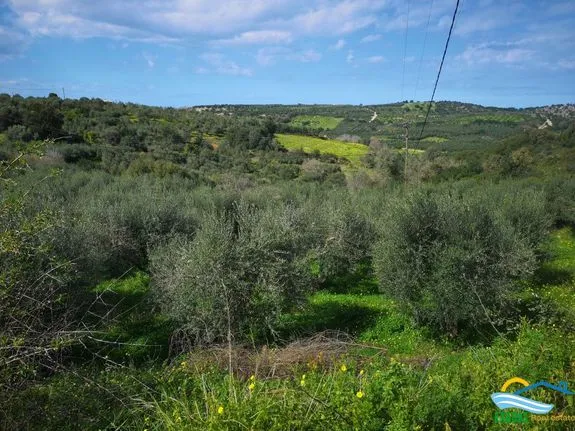 Οικόπεδο 2.229 τ.μ. για πώληση, Ν. Ρεθύμνου, Γεροπόταμος