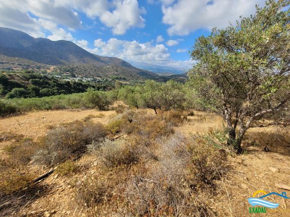 Land plot 13.101 sqm for sale, Rethymno Prefecture, Geropotamos