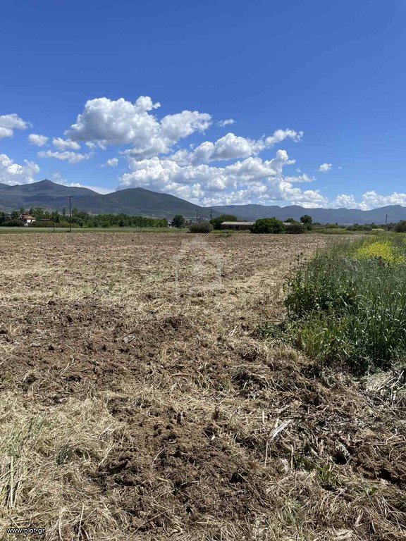 Αγροτεμάχια 15.000 τ.μ. προς πώληση, Ταγαράδες