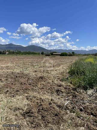 Αγροτεμάχια 15.000 τ.μ. προς πώληση