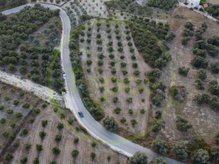 Οικόπεδο 4.600 τ.μ. για πώληση