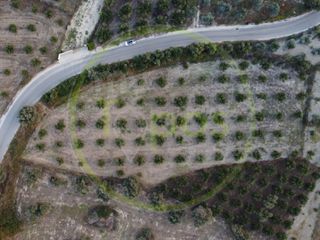 Οικόπεδο 4.600 τ.μ. για πώληση, Ν. Ρεθύμνου, Αρκάδι-thumb-1