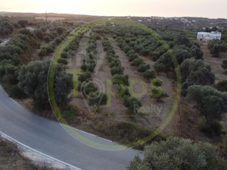 Οικόπεδο 4.600 τ.μ. για πώληση, Ν. Ρεθύμνου, Αρκάδι-thumb-2