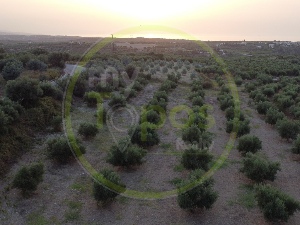 Οικόπεδο 4.600 τ.μ. πρός πώληση, Ν. Ρεθύμνου, Αρκάδι
