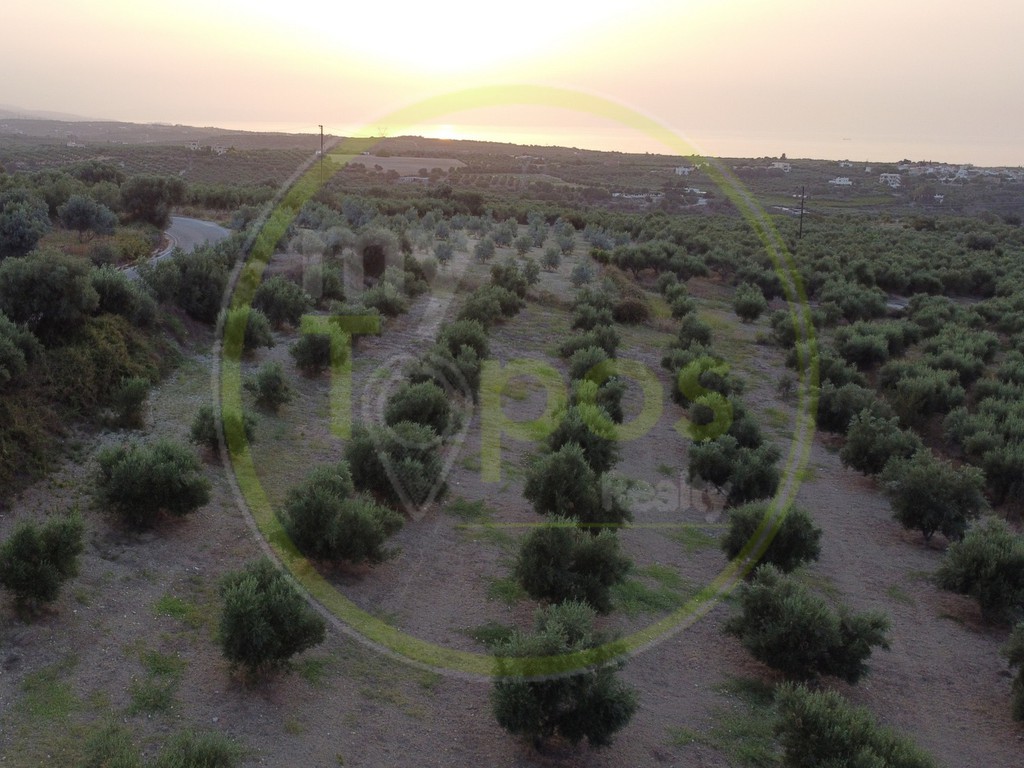 Οικόπεδο 4.600 τ.μ. πρός πώληση, Ν. Ρεθύμνου, Αρκάδι