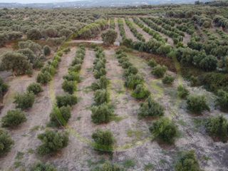 Οικόπεδο 4.600 τ.μ. για πώληση, Ν. Ρεθύμνου, Αρκάδι-thumb-5