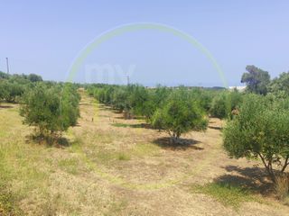 Οικόπεδο 4.600 τ.μ. για πώληση, Ν. Ρεθύμνου, Αρκάδι-thumb-6