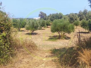 Οικόπεδο 4.600 τ.μ. για πώληση, Ν. Ρεθύμνου, Αρκάδι-thumb-8