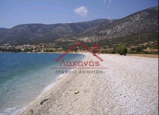 Οικόπεδο 16.000 τ.μ. προς πώληση, Πορτοχέλι-thumb-20