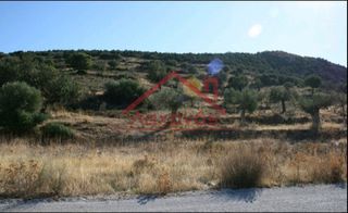 Οικόπεδο 16.000 τ.μ. προς πώληση, Πορτοχέλι-thumb-8