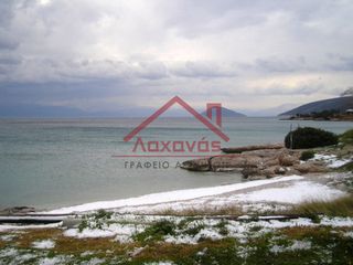 Οικόπεδο 16.000 τ.μ. προς πώληση, Πορτοχέλι-thumb-7