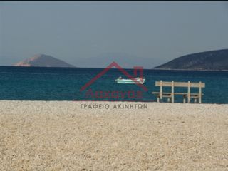 Οικόπεδο 16.000 τ.μ. προς πώληση, Πορτοχέλι-thumb-11