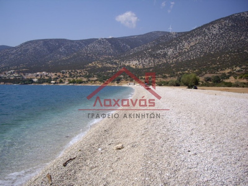 Οικόπεδο 16.000 τ.μ. πρός πώληση, Αργολίδα, Κρανίδι