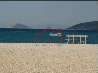 Οικόπεδο 16.000 τ.μ. προς πώληση, Πορτοχέλι-thumb-19