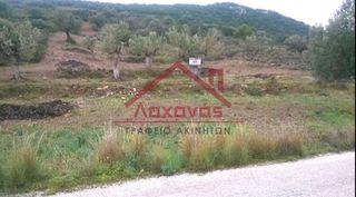 Οικόπεδο 16.000 τ.μ. προς πώληση, Πορτοχέλι-thumb-18