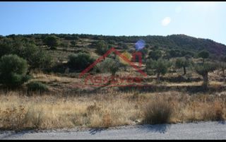 Οικόπεδο 16.000 τ.μ. προς πώληση, Πορτοχέλι-thumb-14