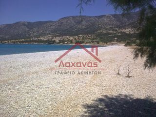 Οικόπεδο 16.000 τ.μ. προς πώληση, Πορτοχέλι-thumb-5