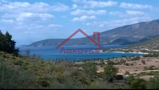 Οικόπεδο 16.000 τ.μ. προς πώληση, Πορτοχέλι-thumb-13