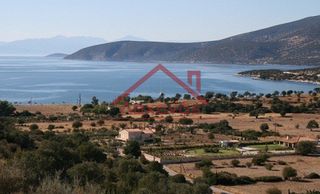 Οικόπεδο 16.000 τ.μ. προς πώληση, Πορτοχέλι-thumb-2