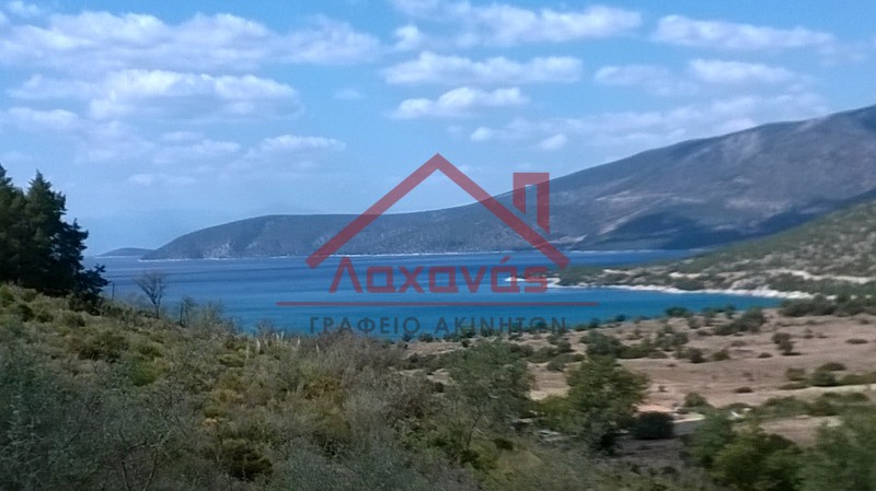 Οικόπεδο 16.000 τ.μ. πρός πώληση, Αργολίδα, Κρανίδι