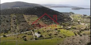 Οικόπεδο 16.000 τ.μ. προς πώληση, Πορτοχέλι-thumb-12