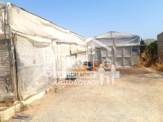 Αγροτεμάχια 4.580 τ.μ. για πώληση, Ν. Λασιθίου, Ιεράπετρα-thumb-2
