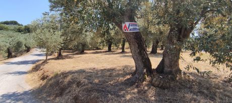 Parcel 1.900sqm for sale-Afetes » Afissos