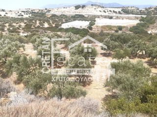 Αγροτεμάχια 9.000 τ.μ. για πώληση, Ν. Λασιθίου, Ιεράπετρα-thumb-5