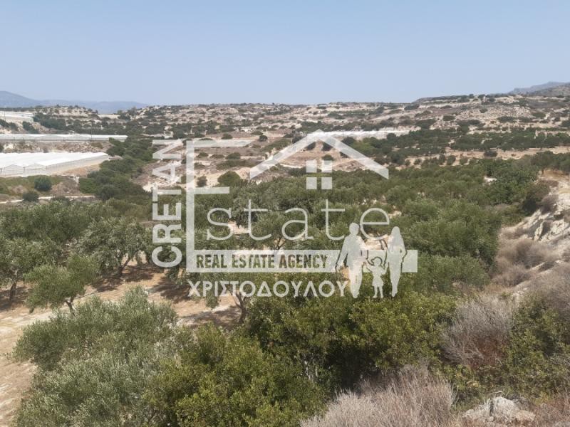 Αγροτεμάχια 9.000 τ.μ. προς πώληση, Κέντρο Ιεράπετρας