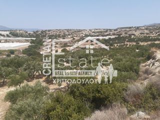 Αγροτεμάχια 9.000 τ.μ. για πώληση, Ν. Λασιθίου, Ιεράπετρα-thumb-3