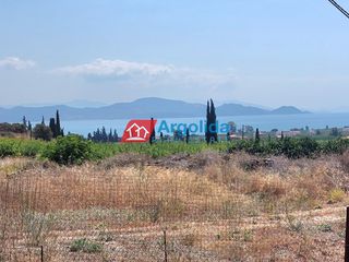 Μονοκατοικία 110 τ.μ. για πώληση, Αργολίδα, Λέρνα-thumb-17