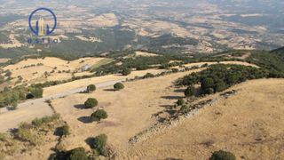 Αγροτεμάχια 29.000 τ.μ. για πώληση