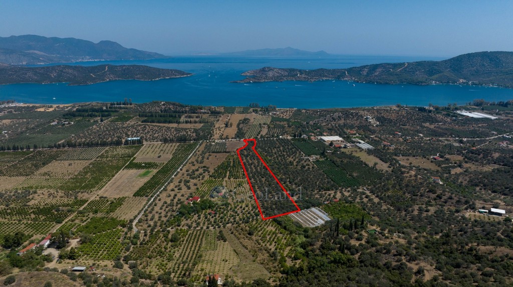 Αγροτεμάχια 21.780 τ.μ. πρός πώληση, Νησιά Αργοσαρωνικού, Τροιζήνα