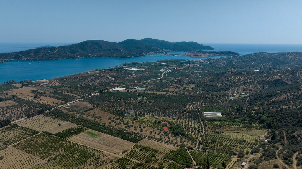 Αγροτεμάχια 21.780 τ.μ. πρός πώληση, Νησιά Αργοσαρωνικού, Τροιζήνα