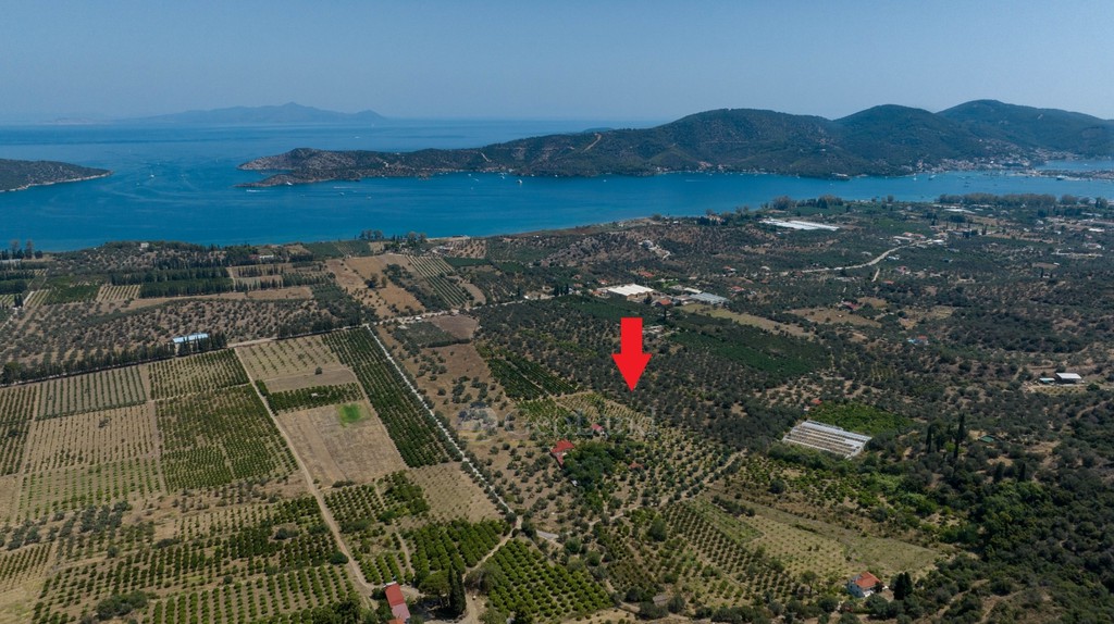 Αγροτεμάχια 21.780 τ.μ. πρός πώληση, Νησιά Αργοσαρωνικού, Τροιζήνα